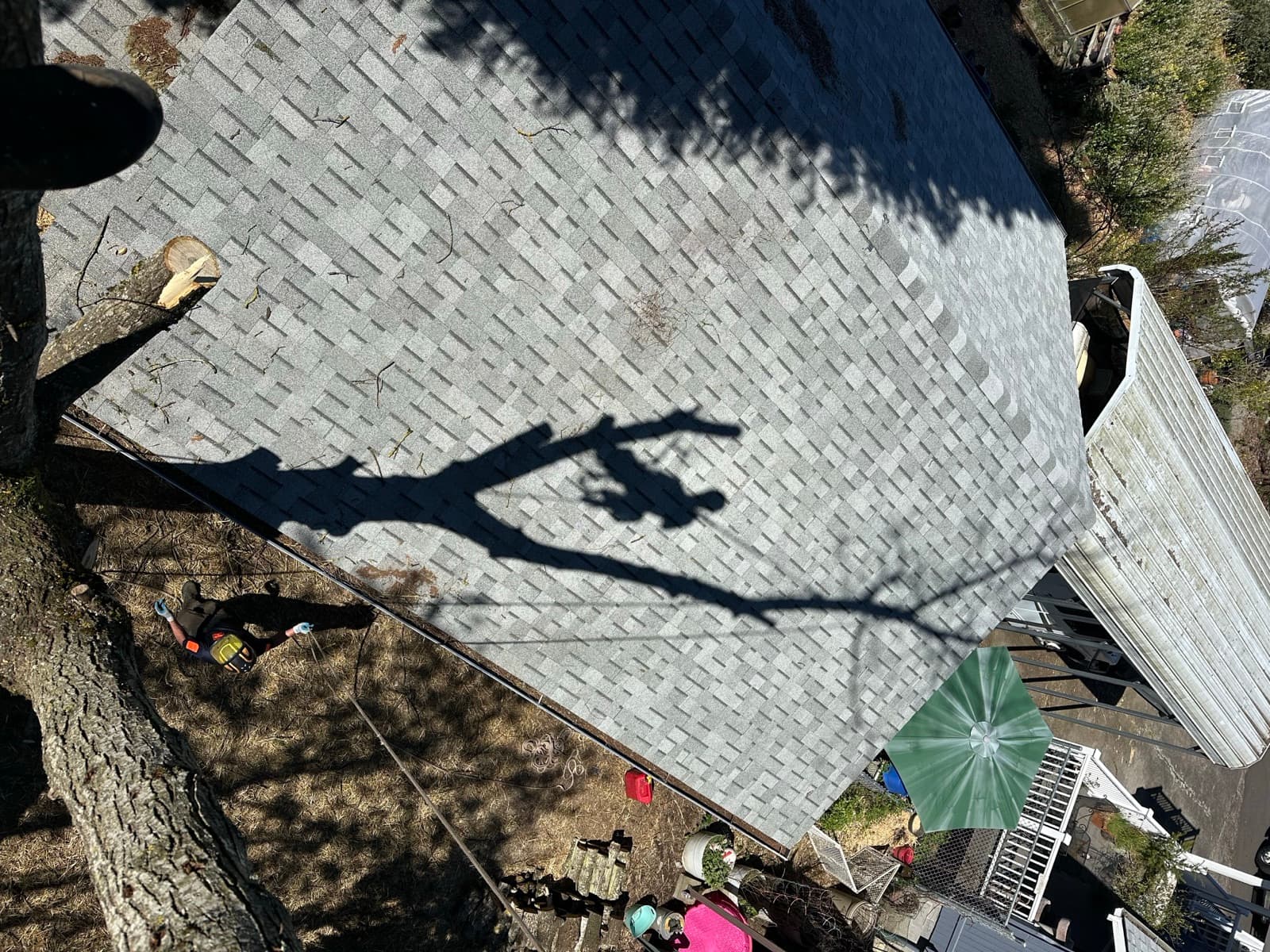 Aerial view of a climber's shadow projected onto a residential rooftop while working in a backyard tree.