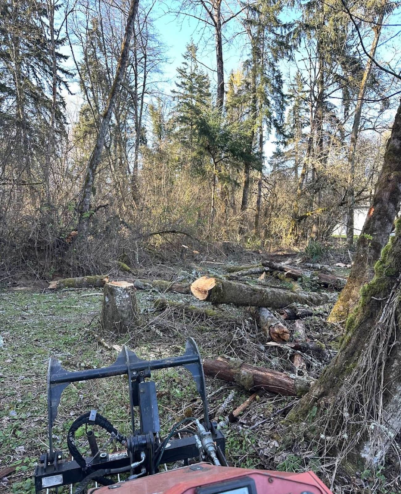 Skid steer with a grapple bucket on a cleared lot full of logs and brush ready for haul-off.