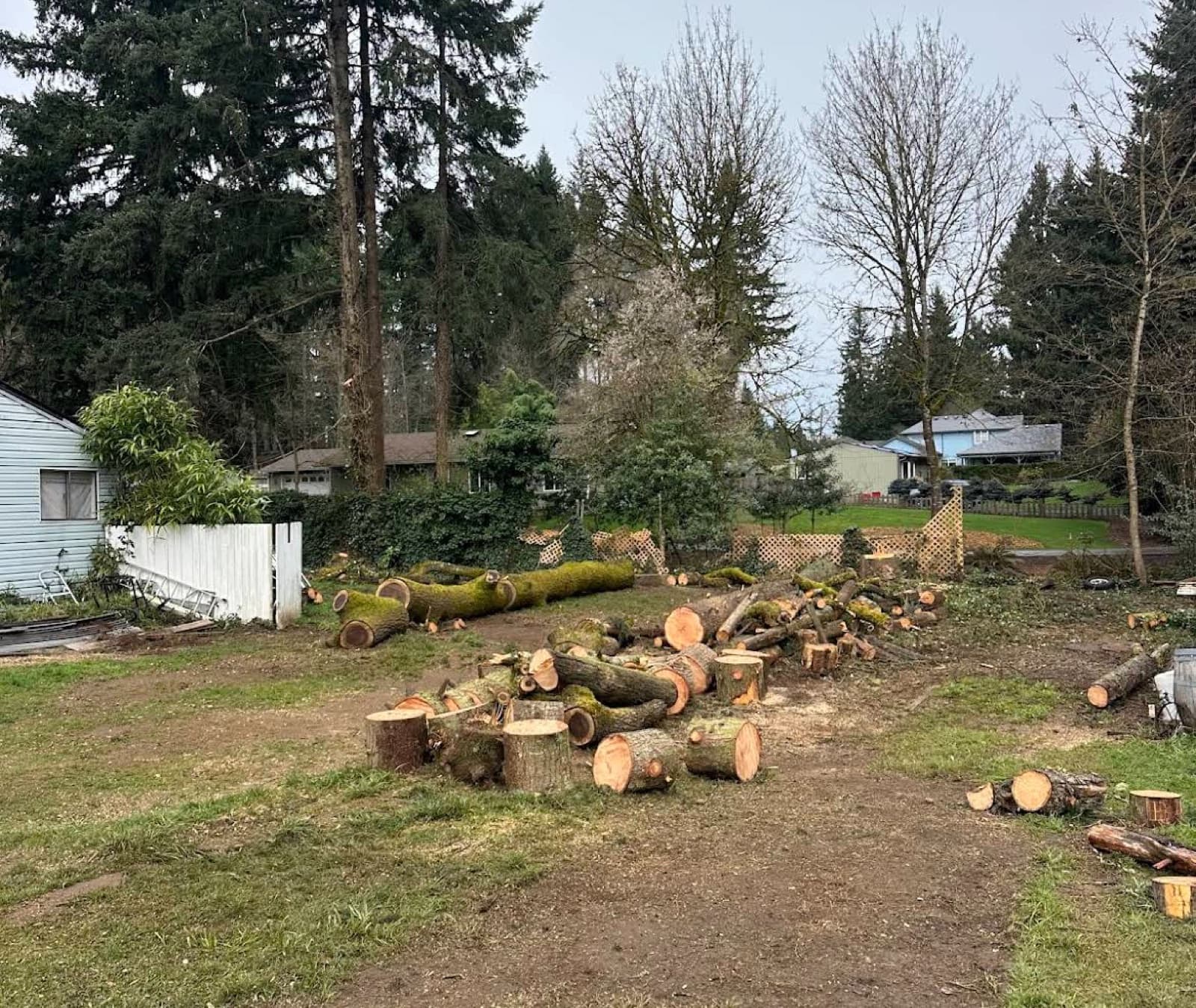 A Clark County yard full of freshly cut log sections and brush after an emergency storm cleanup.